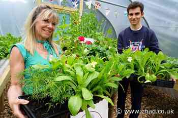 Blidworth gardener hoping new business blooms - Mansfield and Ashfield Chad