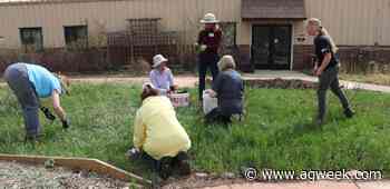 University of Minnesota Extension's Master Gardener program growing in participation - Agweek