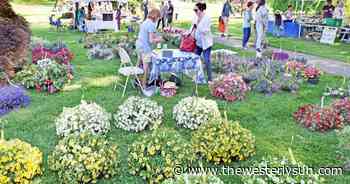 PHOTOS: Annual Garden Market Fair returns to Wilcox Park - The Westerly Sun