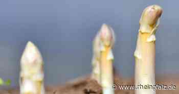 Heimischer Spargel und Erdbeeren sind zu teuer - Bruchsal - Rheinpfalz.de