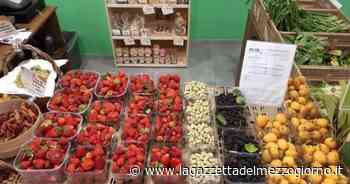 «Giornata mondiale della biodiversità» a Bari e Lecce - La Gazzetta del Mezzogiorno