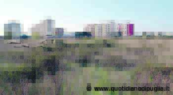 Bari, nasce il parco di Loseto: sei ettari di verde. La giunta approva il progetto finale - quotidianodipuglia.it