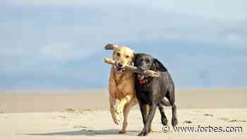 Delta Reserve Vs. Amex Platinum - Forbes