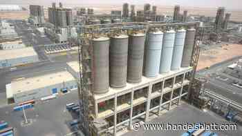 Kunststoff-Joint-Venture: OMV-Tochter Borealis und Adnoc legen Angebotspreis für Milliarden-IPO fest