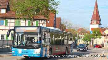 Busverkehr im Kreis Calw - Nicht auf allen Strecken attraktiv - Schwarzwälder Bote
