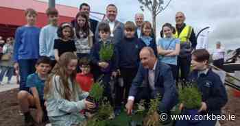 Cork's newest park is the same size as Dublin Zoo and it's just opened - Cork Beo