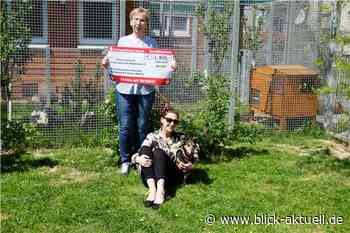 Spendenübergabe im Tierheim Andernach - Blick aktuell