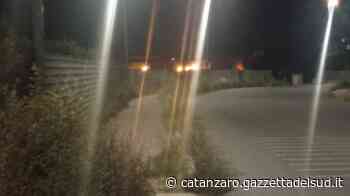 Crotone invasa dalle erbacce, la denuncia di Procopio: "La task force intervenga subito" FOTO - Gazzetta del Sud - Edizione Catanzaro, Crotone, Vibo