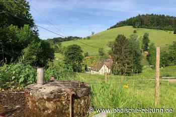 Im Landkreis Emmendingen wird Wasser an einigen Stellen schon heute knapp - Waldkirch - Badische Zeitung