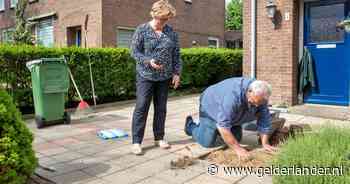 Met de rollator planten halen tegen de verstening: 'Met flinke regenbui raast dat water de helling af' - De Gelderlander
