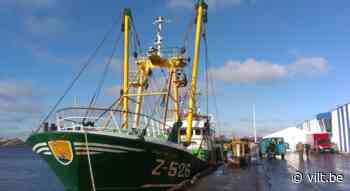 Belgische vissers halen recordhoeveelheid afval uit zee - Vilt