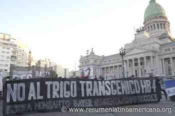 Ecología Social. La Marcha contra Monsanto en Buenos Aires reunió a una multitud que exige terminar con los agrotóxicos, el extractivismo y el trigo transgénico - Resumen Latinoamericano - Resumen Latinoamericano