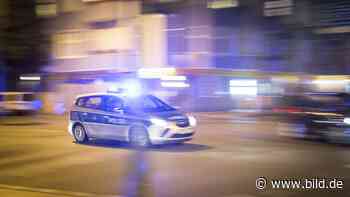 Mitten in Mannheim: Betrunkener zersägt Baum – nachts! | Regional - BILD