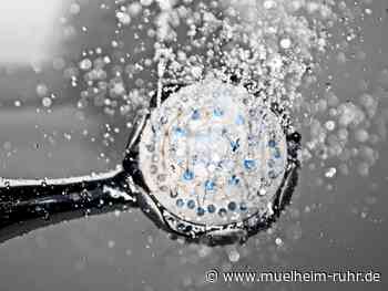 Gesundheitsamt warnt Reisende vor Legionellen