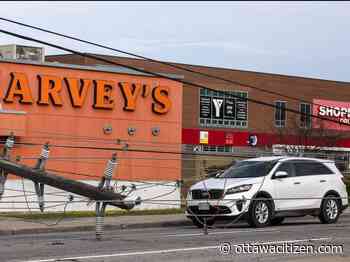 Ottawa storm 2022: What you need to know, post-storm