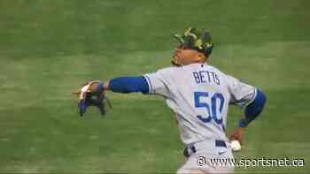 Daily Dash: McNeil lays out, Betts shows off his arm - Sportsnet.ca