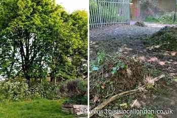 Ferry Lane estate wildflower habitat destroyed