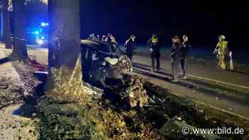 Autounfall in Erwitte (NRW): Fahrer (36) kracht gegen Baum – tot | Regional - BILD