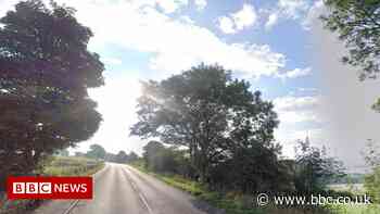 Barnsley crash: Driver killed as L-plate van hits tree