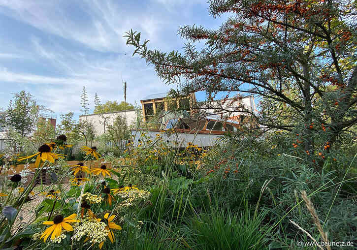 Drei Tage für die Bauwende
 - Festival von Architects for Future in Berlin