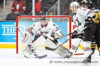 Warriors shore up goaltending with trade for Red Deer's Ungar, Maric - Moose Jaw Today