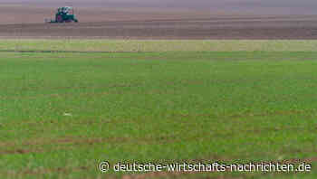 Ukraine: Getreide-Exporte im Mai weiter im Tiefflug