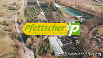 ▷ Gartenparadies Pfettscher - Eppingen.org