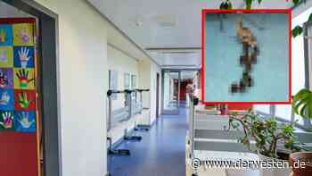 Essen: Irrer Schul-Besuch! Plötzlich stehen DIESE Tiere im Sekretariat - DER WESTEN