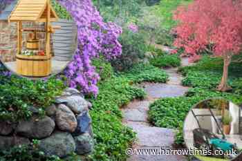 Upgrade your garden ahead of the Chelsea Flower Show with Aldi, B&Q, The Range and more