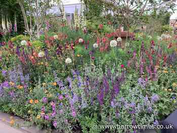 Chelsea Flower show: how to visit and buy tickets