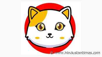 Catcoin.com Introduced CATCoin Cryptocurrency to Become Next Shiba Inu - Hindustan Times