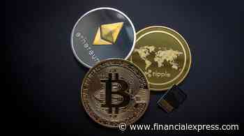 Will crypto rise again in 2022 after crash? - The Financial Express