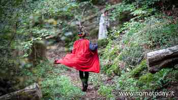 Il bosco sulla Francigena: elfi, fate, re e streghe in Alta Tuscia