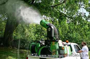 Eichenprozessionsspinner - Einsatz gegen giftige Fressmaschinen - Leonberger Kreiszeitung