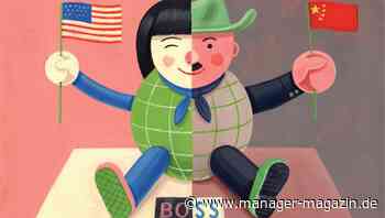 Fallstudie: Was bedeutet Diversität in einem globalen Unternehmen?