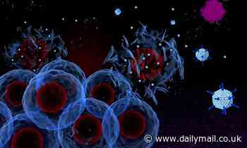First human patient is injected with 'revolutionary' cancer-killing virus