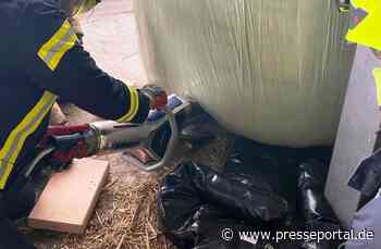 FW Gangelt: Kälber in Not