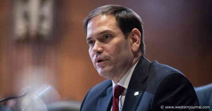 Rubio Accuses Google of Directly Influencing Elections, Censoring Majority of Emails to His Supporters