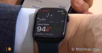 Apple VP Dr. Sumbul Desai talks Apple Watch data health benefits in CBS interview