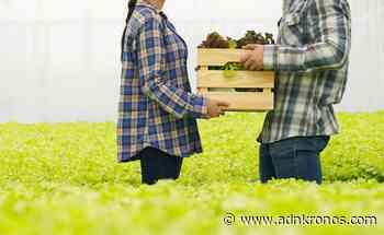 Il Giro d'Italia della Csr a Lecco, focus sulle filiere di prossimità - Adnkronos