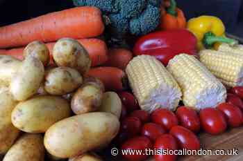 Why should i be a vegetarian?