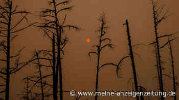 Feuer-Inferno in Russland: Häftlinge löschen Brände, weil Soldaten fehlen
