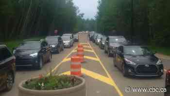 Open spaces, crowded places: Parks staff brace for another pandemic summer