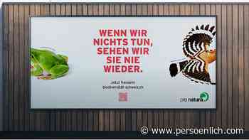 Republica: Damit Igel und Wiedehopfe nicht bald weg sind - persoenlich.com