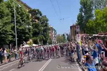 Bologna, folla per il Giro d'Italia: a San Lazzaro ovazione per Fortunato. VIDEO - Bologna in diretta