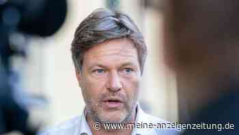 EU-Öl-Embargo gegen Russland: Habeck sieht Deal nahen - und teilt gegen „Putin-Partner“ aus