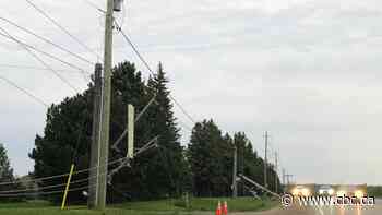Deadly thunderstorms, high winds leave a trail of damage in Waterloo region, Guelph - CBC.ca