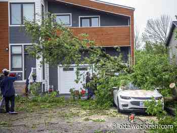 Powerful storm leaves trail of death and destruction in capital region - Ottawa Citizen