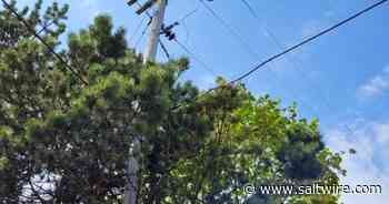 Lights blinked out in Summerside May 22 - SaltWire NS