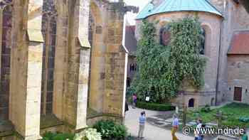 Dom Hildesheim: Blüte am tausendjährigen Rosenstock beginnt - NDR.de